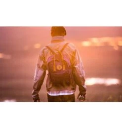 Fjallraven Fjällräven Kanken No. 2 Rugzak Acorn -Tassen en Pasjes f23565 ss17 a kanken no 2 21 1