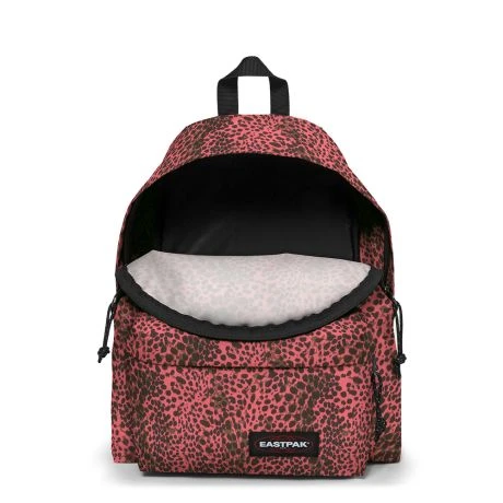 Eastpak Padded Pak'r Rugzak Accentimal Peach 3 Eastpak Padded Pak'r Rugzak Accentimal Peach - Afbeelding 3